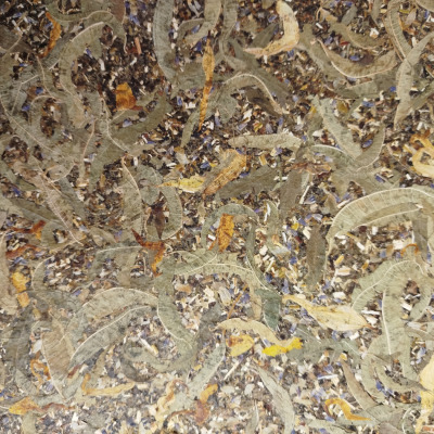 Kräutermix aus Zitronenverbene, Johanneskraut, Hopfen, Lavendel und Steinkleekraut