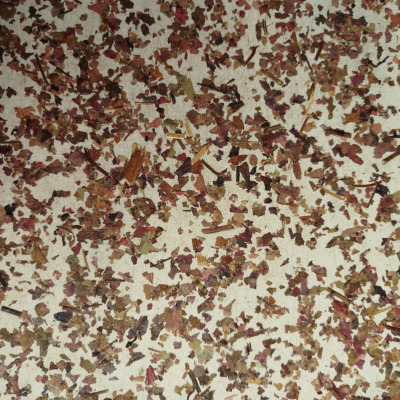 Weinblätter auf Flachvlies